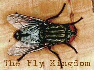 - The Fly Kingdom Upcoming Events -
