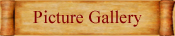 - Picture Gallery -